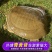 汉寿县甲鱼产地发货，品质保证，量大从优！欢迎各大客商电联