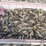 精品老头鱼货源充足量大从优质量保证欢迎咨询