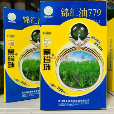 升级版金黑珍珠油菜种子锦汇油779油菜籽种耐寒高产油菜籽