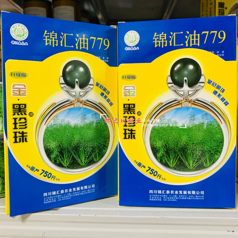 升级版金黑珍珠油菜种子锦汇油779油菜籽种耐寒高产油菜籽