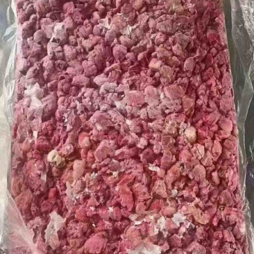 鸭肺