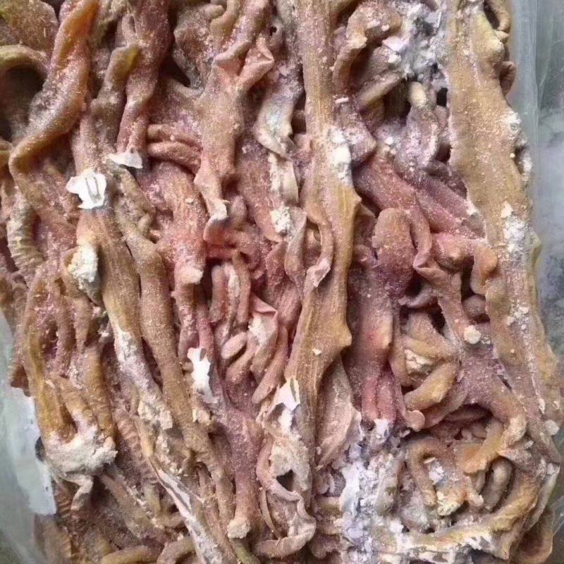 牛小肠