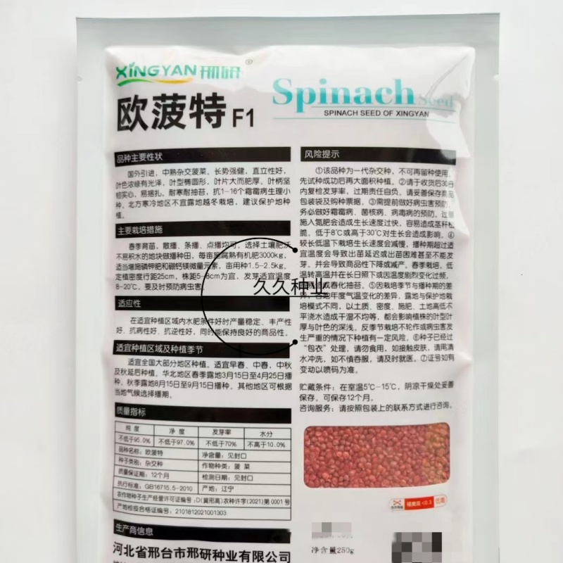 欧菠特菠菜种子耐寒耐热耐抽薹抗病欧春秋越冬中熟品种蔬菜种