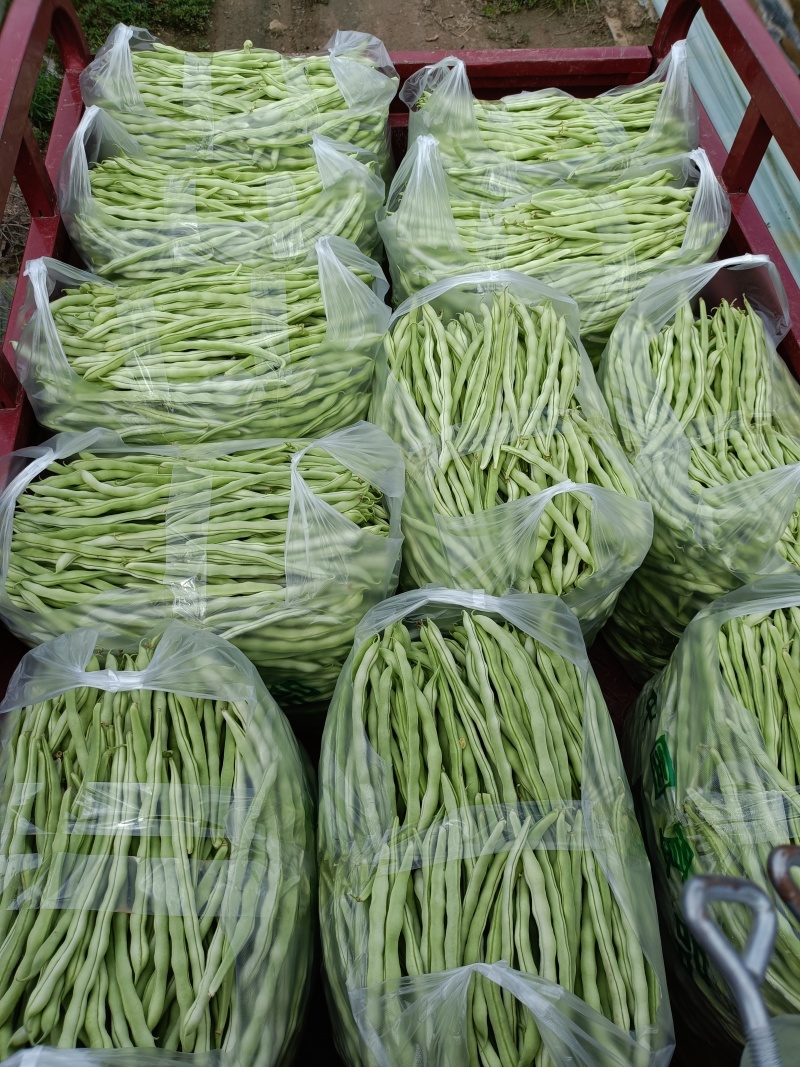 豆角