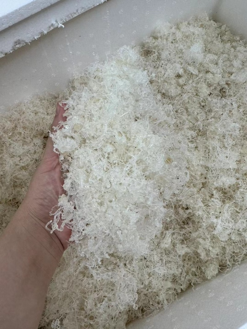 拉丝雪燕小龙须雪燕拉丝好少杂质产地直销
