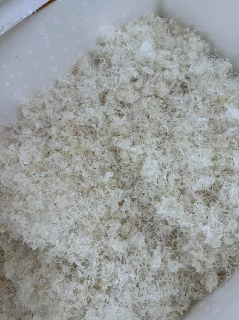 拉丝雪燕小龙须雪燕拉丝好少杂质产地直销