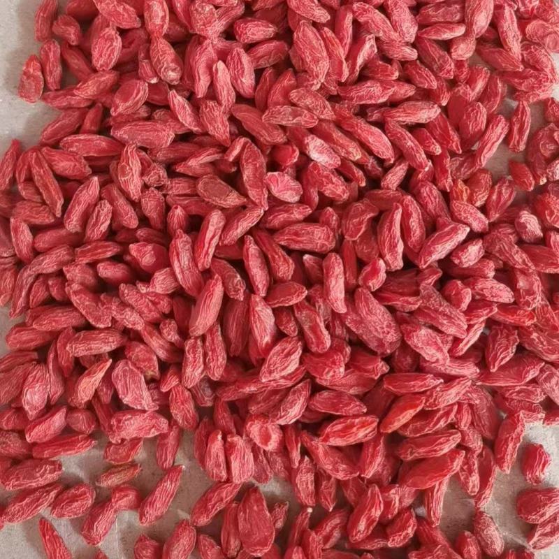 精品红枸杞青海产地直供大量现货品质好价格低