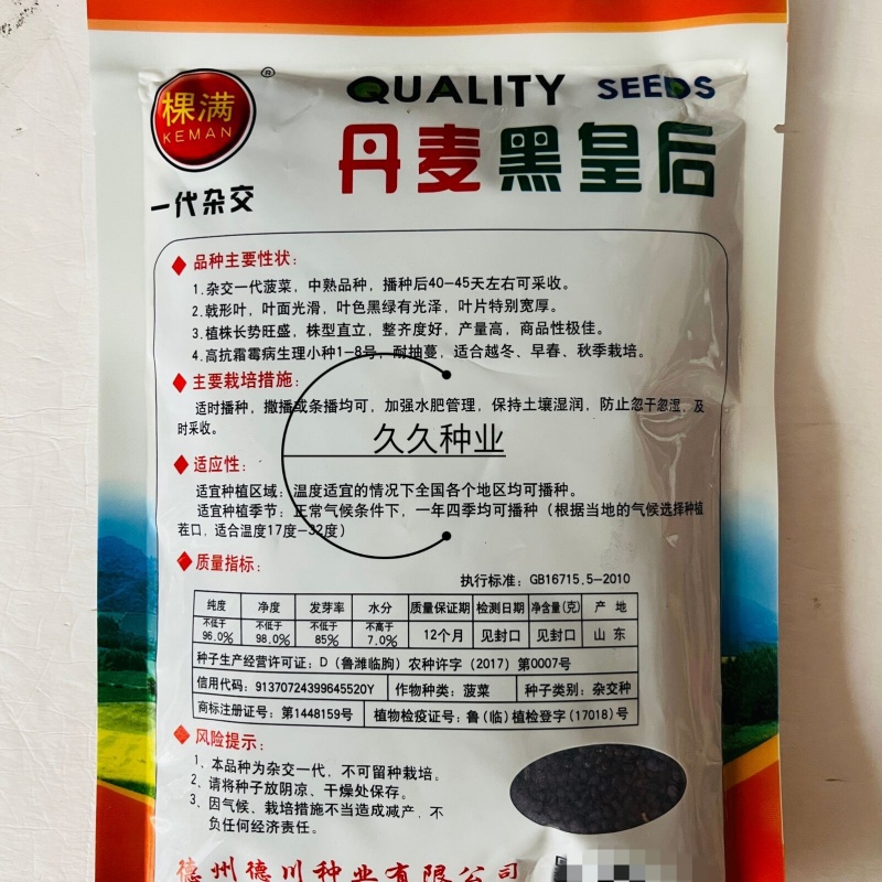 棵满丹麦黑皇后菠菜种子中熟高抗病耐抽苔春秋大叶墨绿色菠菜