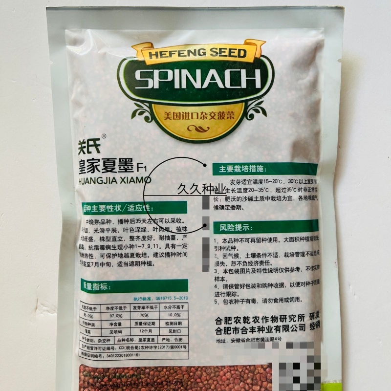 皇家夏墨菠菜种籽圆叶大叶耐热杂交高产中晚熟种孑春夏秋蔬菜