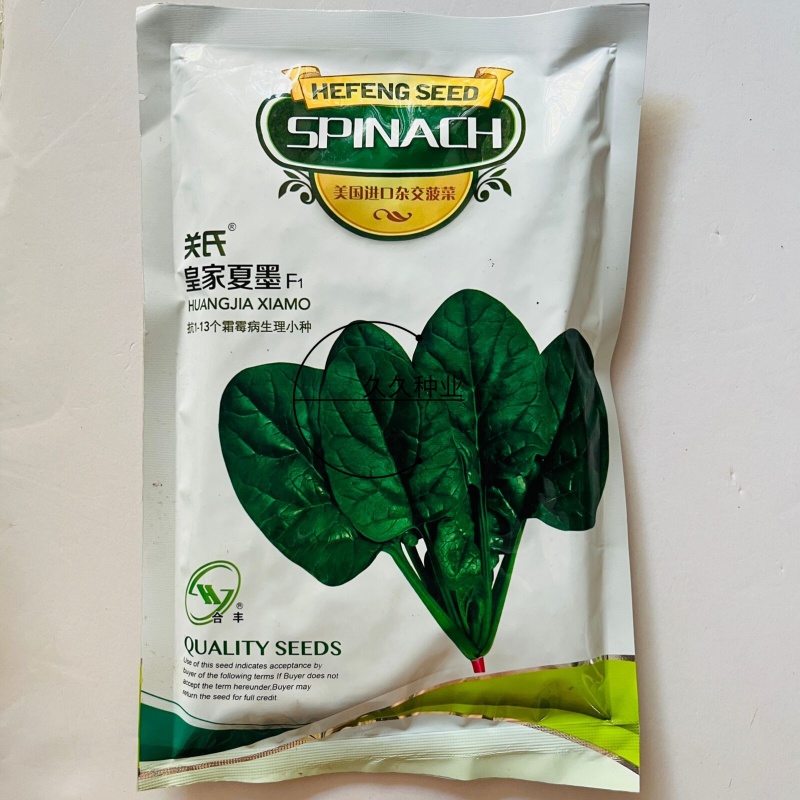 皇家夏墨菠菜种籽圆叶大叶耐热杂交高产中晚熟种孑春夏秋蔬菜