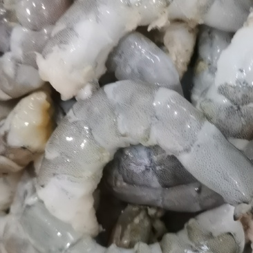 海洋之星手扒速冻鲜虾仁养虾厂里批发，无冰衣