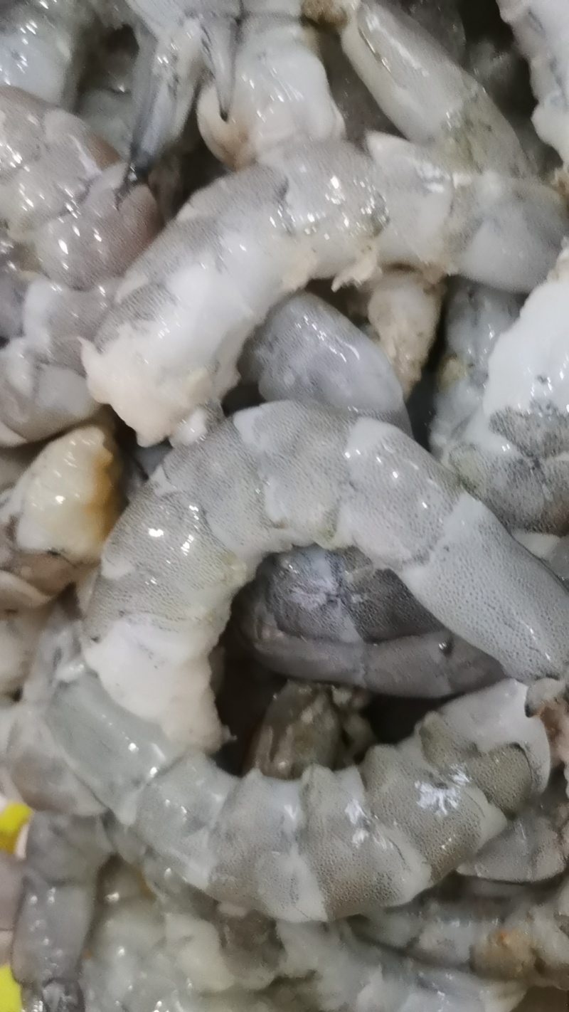 海洋之星手扒速冻鲜虾仁养虾厂里批发，无冰衣
