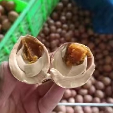 麻酱鸡蛋，正宗蓟州特产麻酱鸡蛋！团购爆品…
