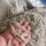 白米虾秀丽白虾规格齐全量大从优欢迎咨询