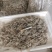 白米虾秀丽白虾规格齐全量大从优欢迎咨询