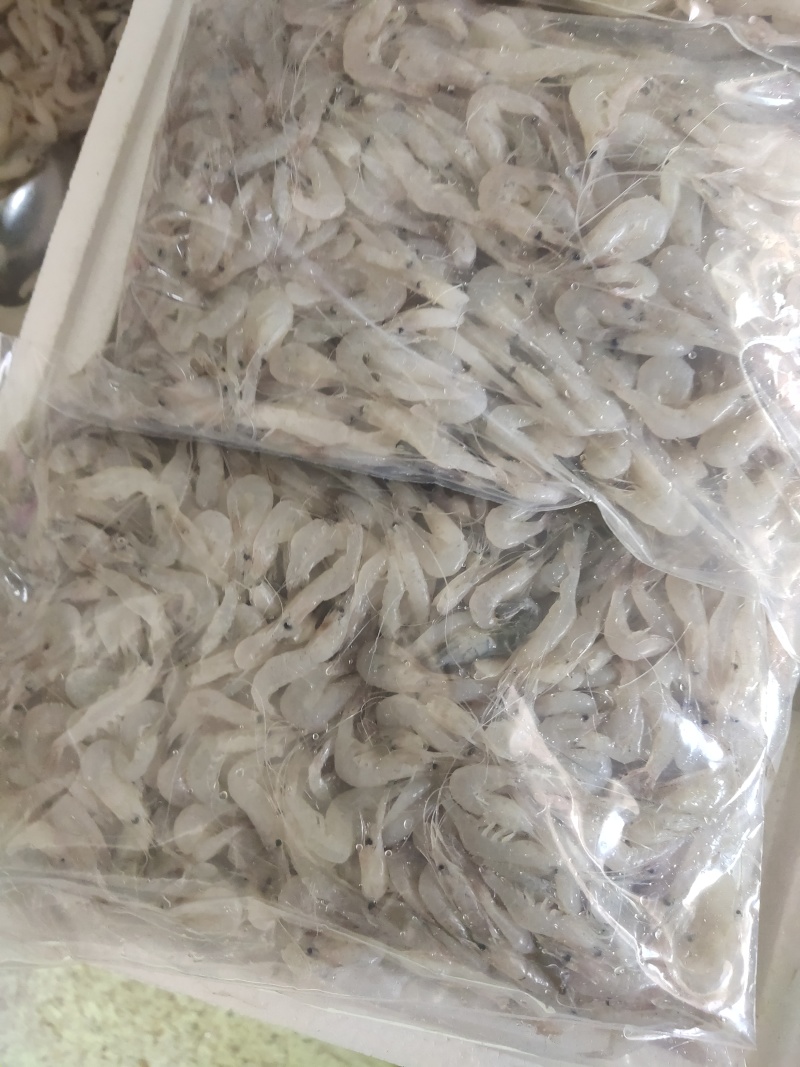 白米虾秀丽白虾规格齐全量大从优欢迎咨询