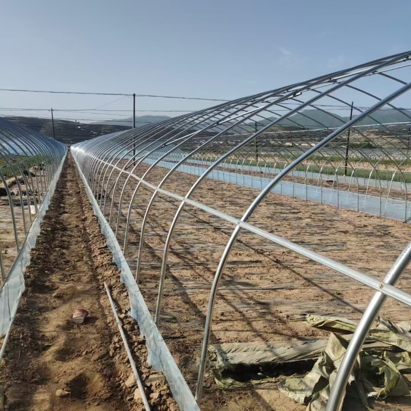温室大棚骨架种植大棚全国承接各种温室工程可实地测量