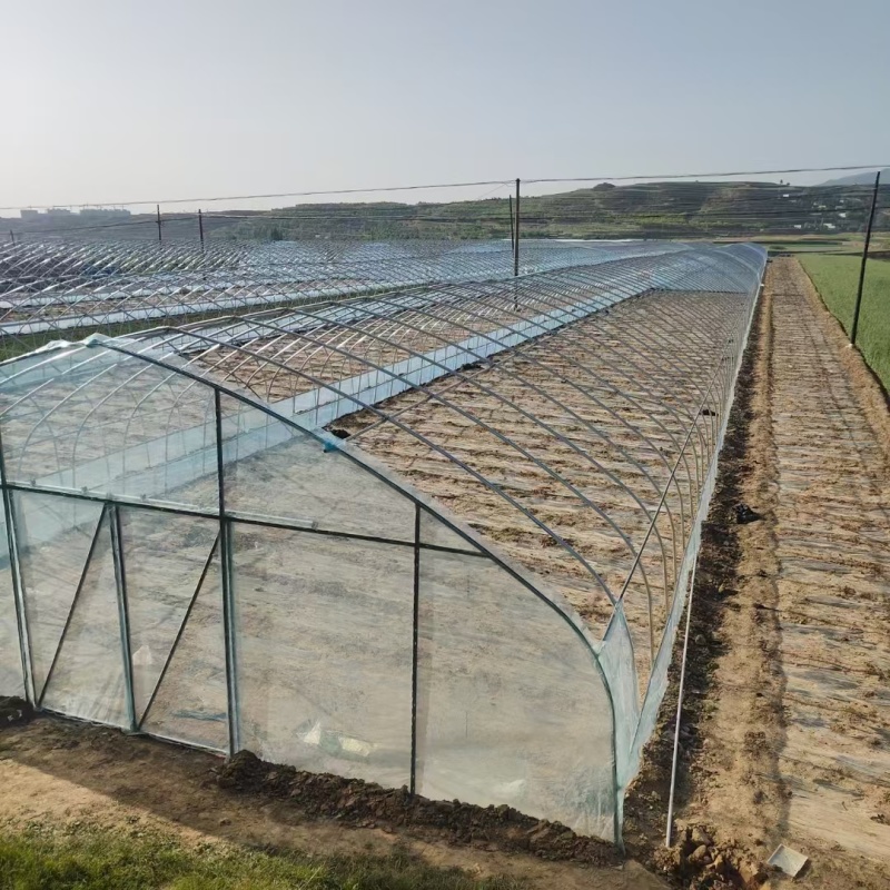 温室大棚骨架种植大棚全国承接各种温室工程可实地测量