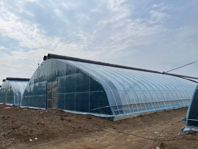 温室大棚骨架种植大棚全国承接各种温室工程可实地测量