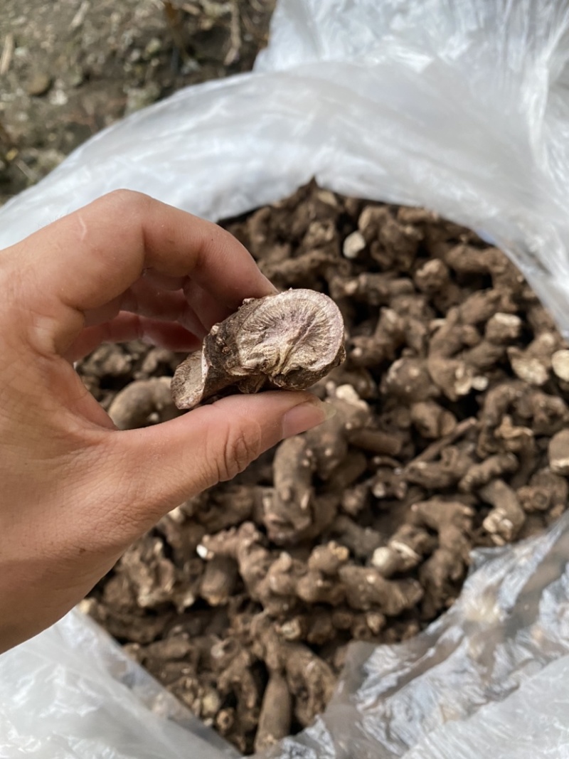 大量野生白芍，需要的联系