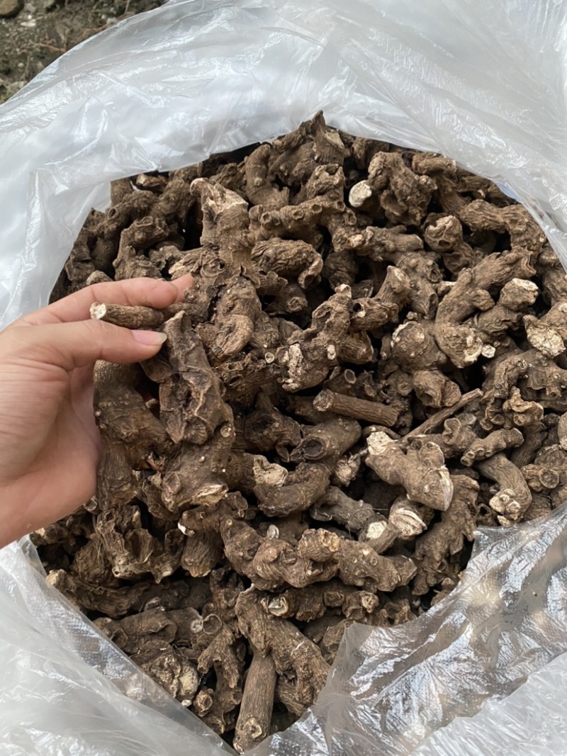 大量野生白芍，需要的联系