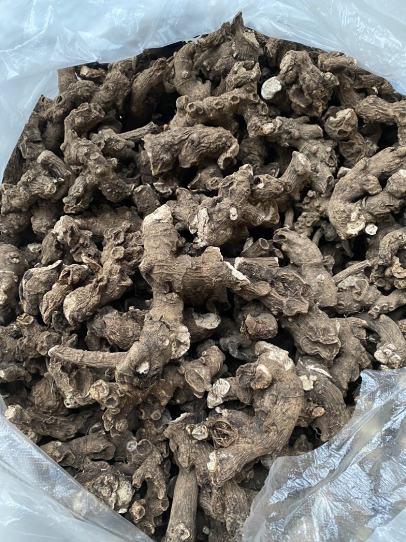 大量野生白芍，需要的联系