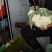 松花菜河北发货日供8车左右协助装车全国发货
