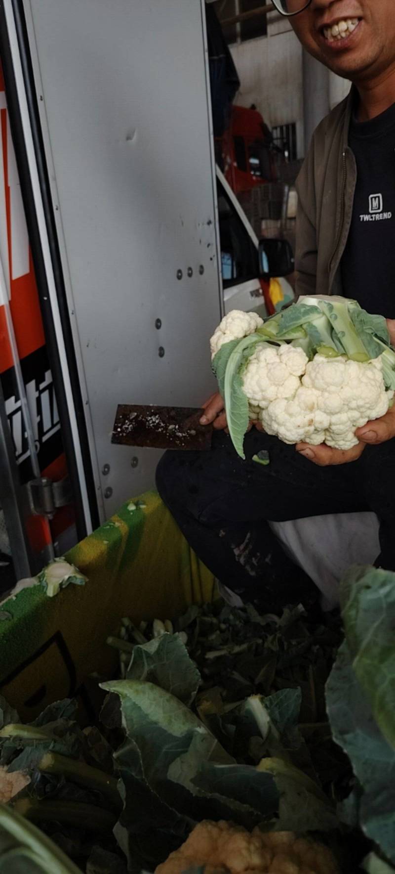 松花菜河北发货日供8车左右协助装车全国发货