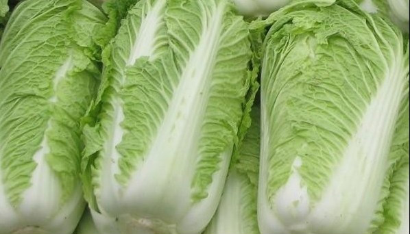 白菜烹饪过程展示