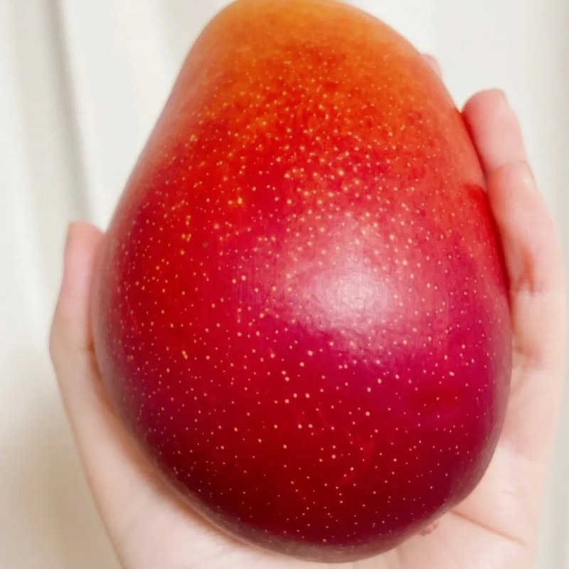 水果