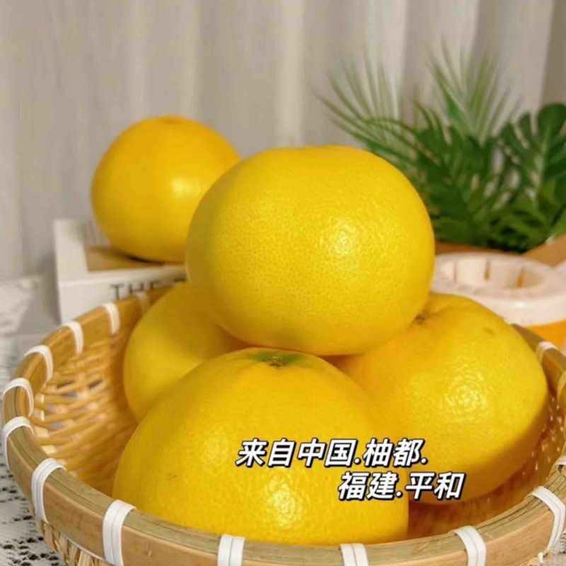 平和葡萄柚大量现货