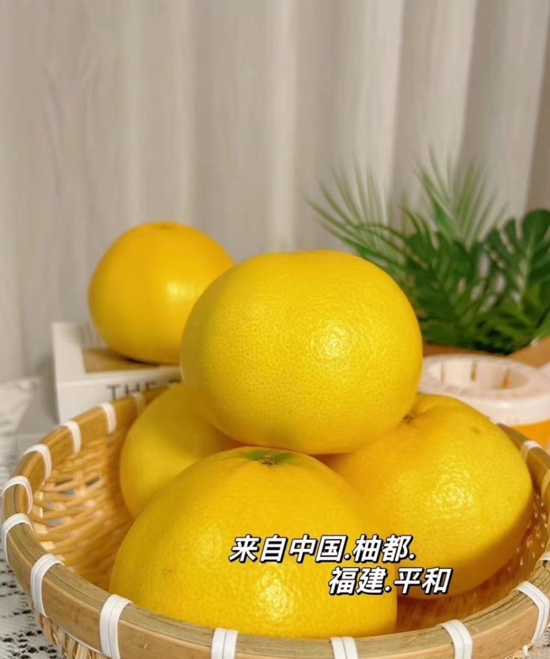 平和葡萄柚大量现货