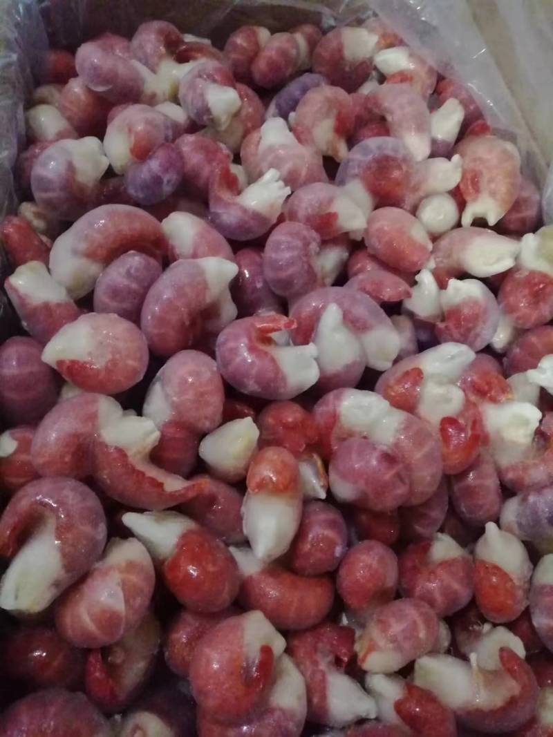 单冻特级龙虾尾