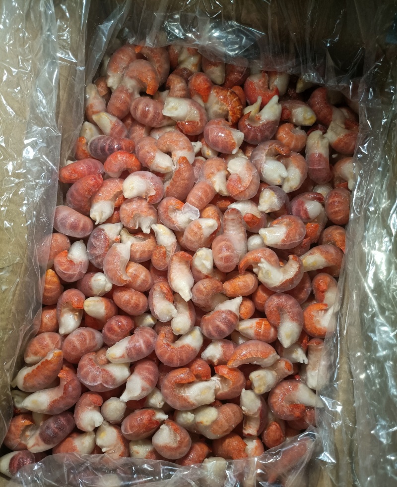 单冻特级龙虾尾