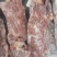 2520满肉牛脖骨到货一车