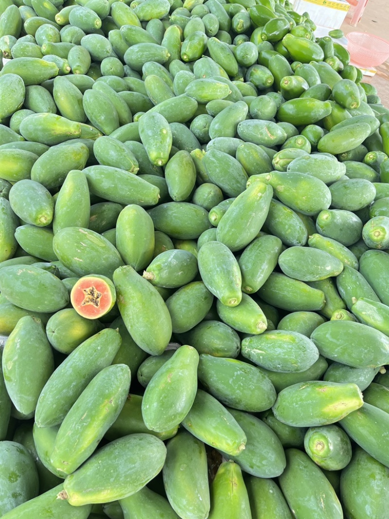 广东红心大青木瓜