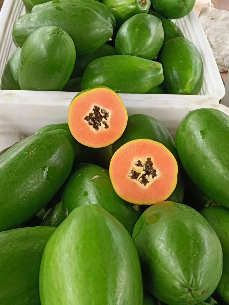 广东红心大青木瓜