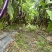 [热卖]茄子线茄大量上市基地直供产地直发一手货源