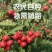 一件代发，2024山楂果新鲜农家山楂。支持电商