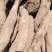 大名哈密红薯产地直供大量出货保质保量欢迎采购