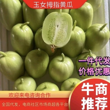 【一件代发】金童玉女拇指黄瓜，脆嫩可口，全国代发，价优