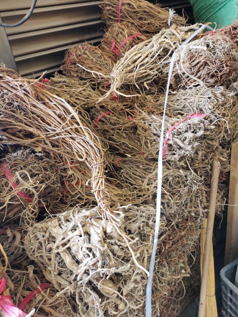 小叶千斤拔干货，包邮