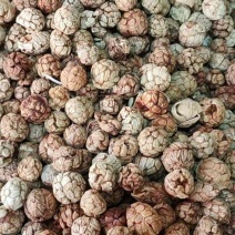 草蔻/草豆蔻/精选好货/批发兼零售，量大可商议，全国包邮