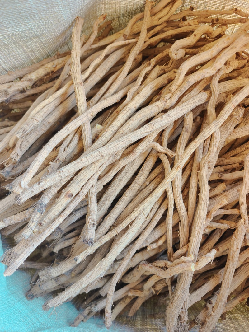 甘肃本地精品防风节，大小规格齐全，产地直发，无硫，无杂质