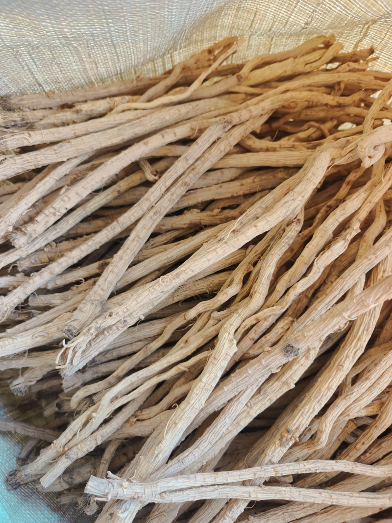 甘肃本地精品防风节，大小规格齐全，产地直发，无硫，无杂质