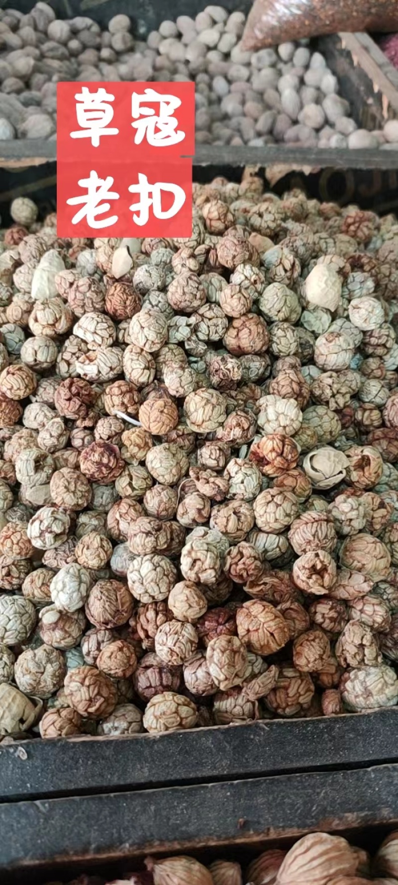 草蔻/草豆蔻/精选好货/批发兼零售，量大可商议，全国包邮