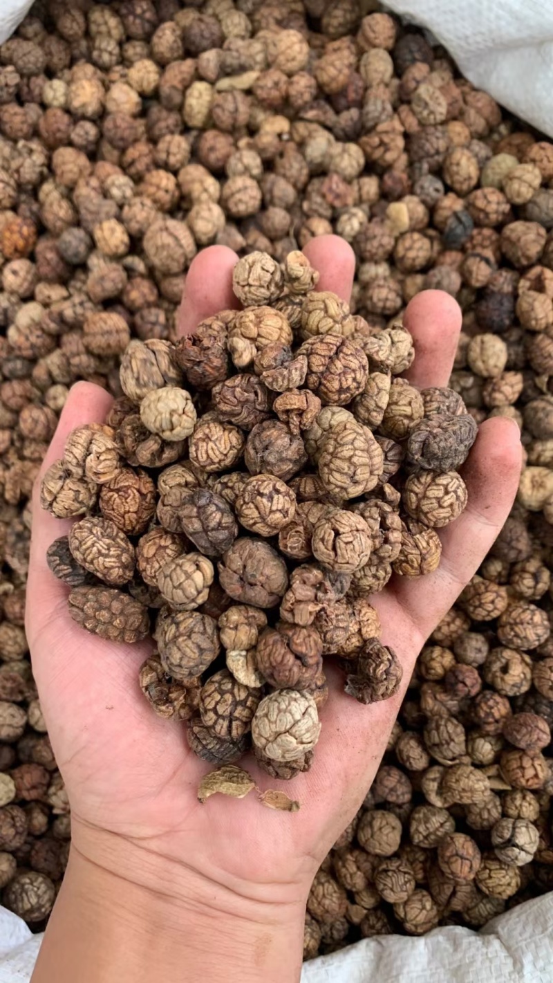 草蔻/草豆蔻/精选好货/批发兼零售，量大可商议，全国包邮