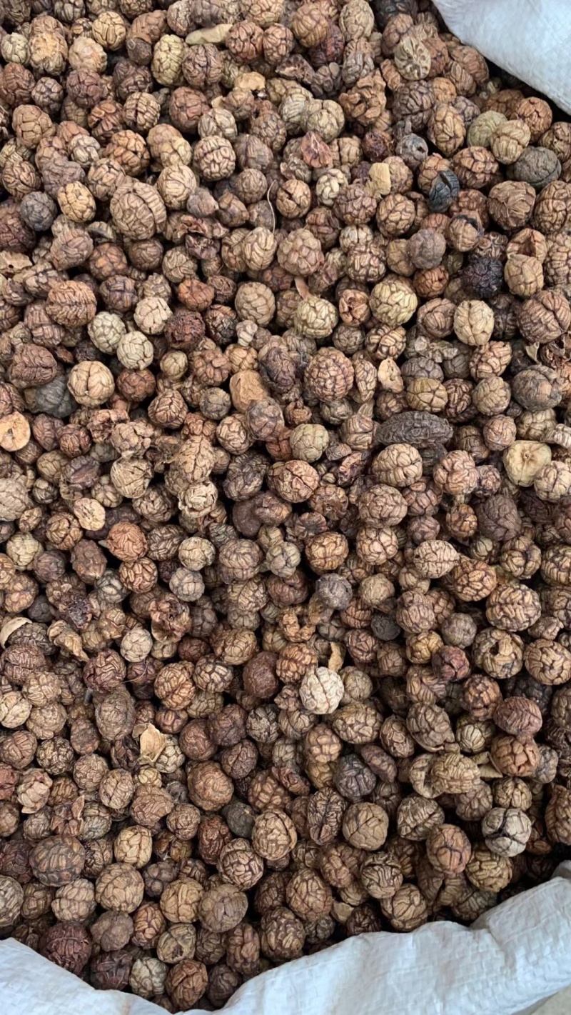 草蔻/草豆蔻/精选好货/批发兼零售，量大可商议，全国包邮