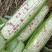 花糯玉米，满尖，包子饱满，无虫眼，无西赖子！