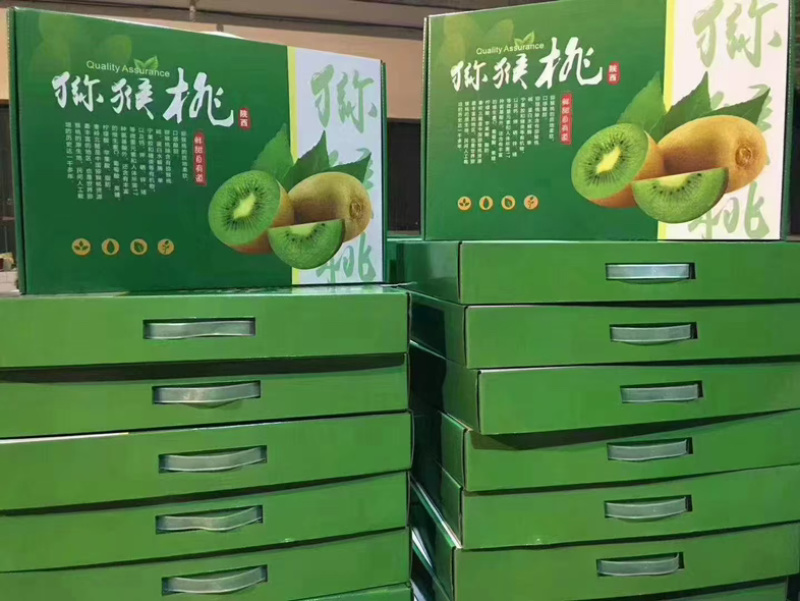 陕西周至翠香猕猴桃现摘现发爆甜多汁一件代发包邮
